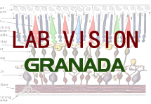 logo Lab Vision Granada